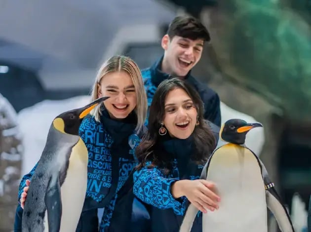 Ski Dubai Penguins